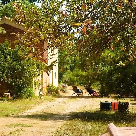 Casas Da Cerca Hotel Zambujeira do Mar Eksteriør billede